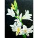 White Lily Flowers Canvas Painting by Artist Snehaprava Maharana